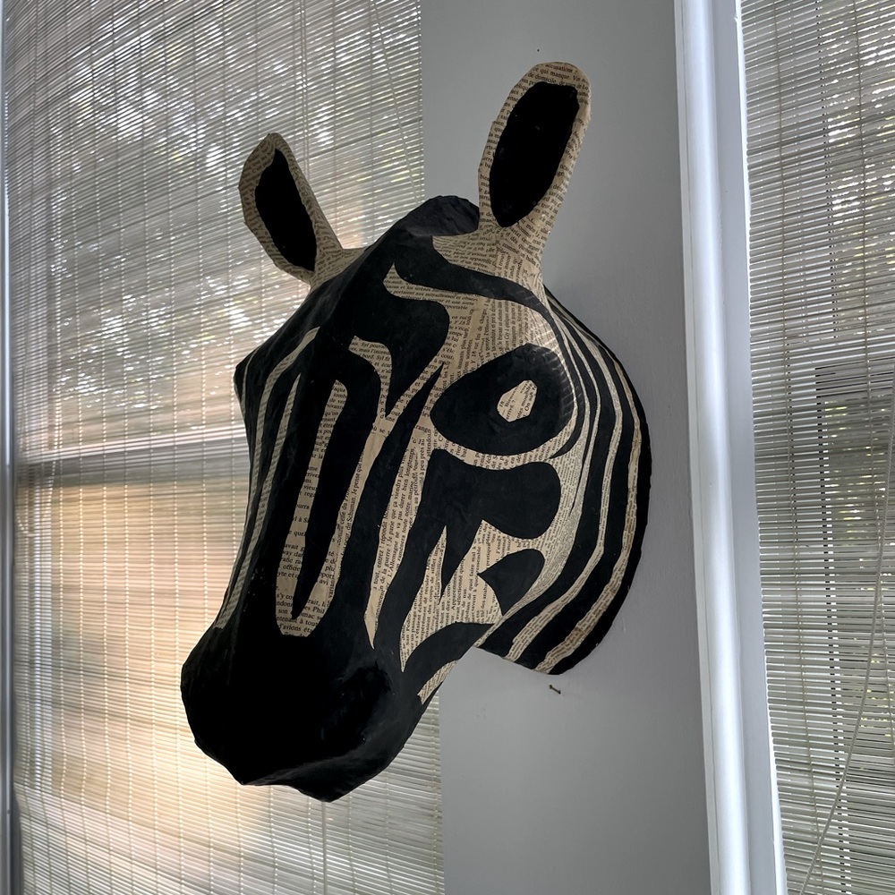 Anthropologie Black and Cream Zebra Wall Decor